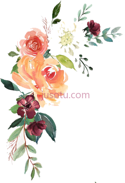 水彩花卉,watercolor floral flybutterflies flower PNG