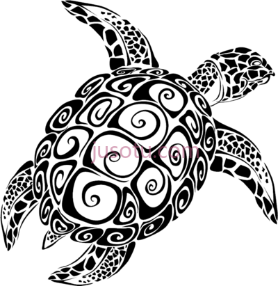 海龟,sea turtle PNG
