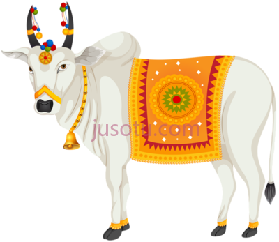 奶牛,cow indian krishna PNG
