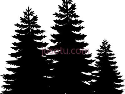 松树,pine tree PNG