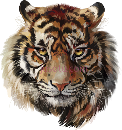 虎脸,tiger face PNG