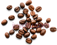 咖啡豆PNG