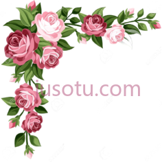 花边,装饰 PNG