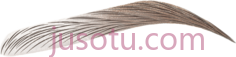 眉毛,美丽 PNG