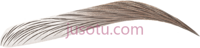 眉毛,brows no eyebrow PNG