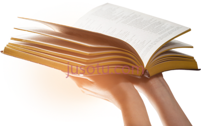 举起打开书,holding open bible up PNG