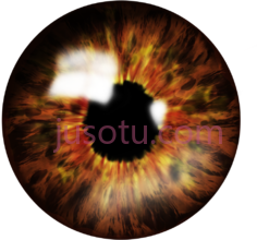 棕色眼睛PNG