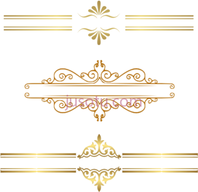 金边,elegant gold border PNG