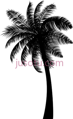 黑椰子树PNG