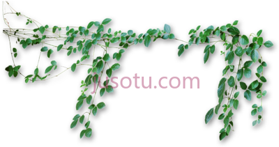 藤蔓,vines PNG