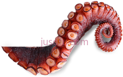 章鱼触须,octopus tentacle PNG