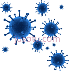 冠状病毒PNG