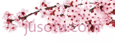 樱花,树枝 PNG