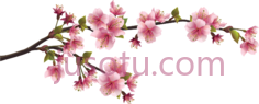 樱花枝, PNG