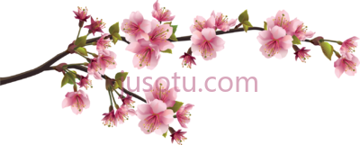 樱花枝,cherry blossom branch bunga sakura PNG