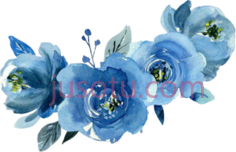 蓝色花PNG