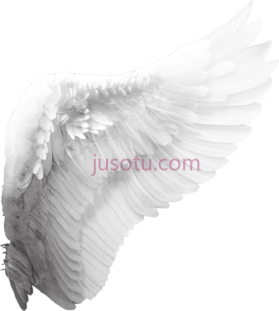 天使之翼,angel wings PNG