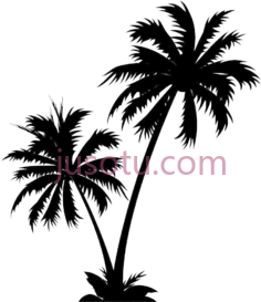 棕榈树PNG