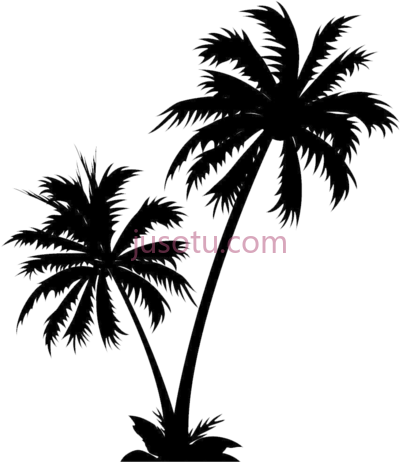 棕榈树,isle manage specializes in white palm tree PNG