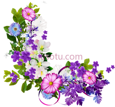 花束紫色花边,bouquet purple flowers border PNG