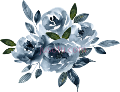 自然蓝花,nature blue flower PNG