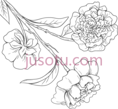 黑白花PNG