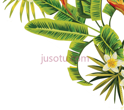 热带树叶,tropical leaves PNG