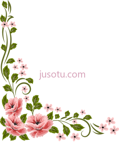 花边框,marcos de flores PNG