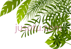 丛林树叶PNG