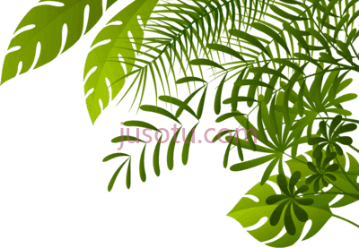 丛林树叶,jungle theme leaves PNG