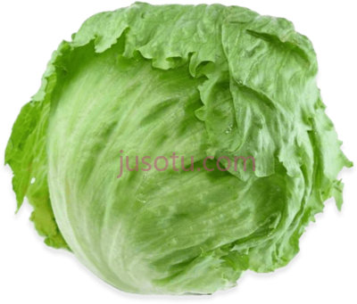 莲花白,iceberg lettuce PNG