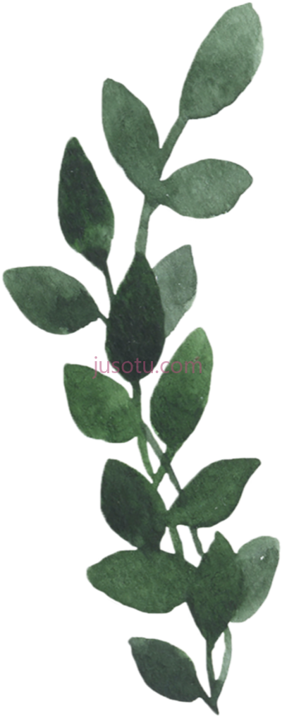 绿叶,vintage greenery leaves nkkgtn carat PNG