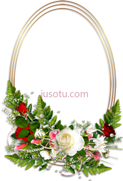 椭圆形花框,oval frame flower PNG