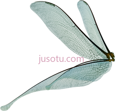 翅膀,fairy wings PNG
