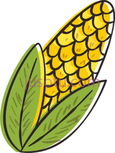 玉米PNG