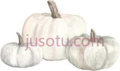 白南瓜PNG