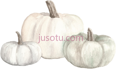 白南瓜,watercolor white pumpkins fall autumn PNG