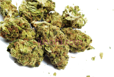 杂草,weed nug no PNG