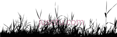 草地,grass groundcover silhouette black and white black shadow grass PNG