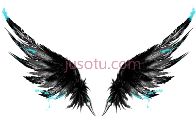 黑翅膀,black wings full PNG