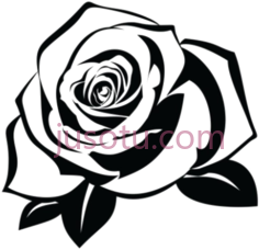玫瑰纹身PNG