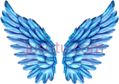 彩色天使翅膀PNG