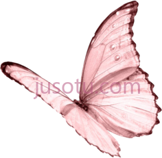 粉红蝴蝶, PNG