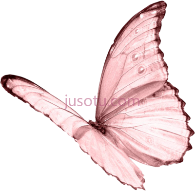 粉红蝴蝶,pink butterfly PNG
