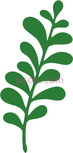 叶子,植物,植被,草木 PNG