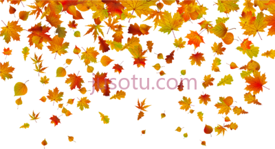 秋叶,fall leaves PNG