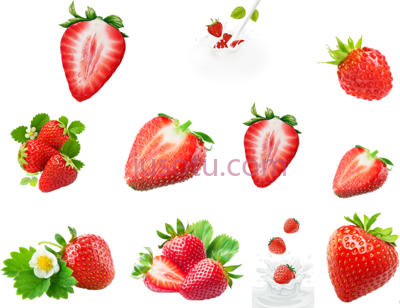 草莓,pin by sector on strawberry PNG