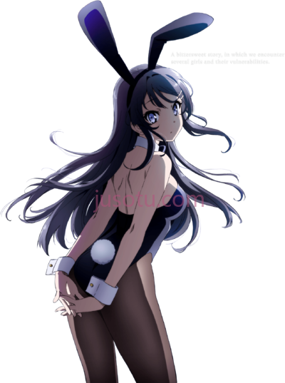 樱岛麻衣,mai sakurajima bunny outfit PNG