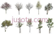 砍伐树木PNG