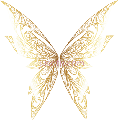 翅膀,fairy wings PNG